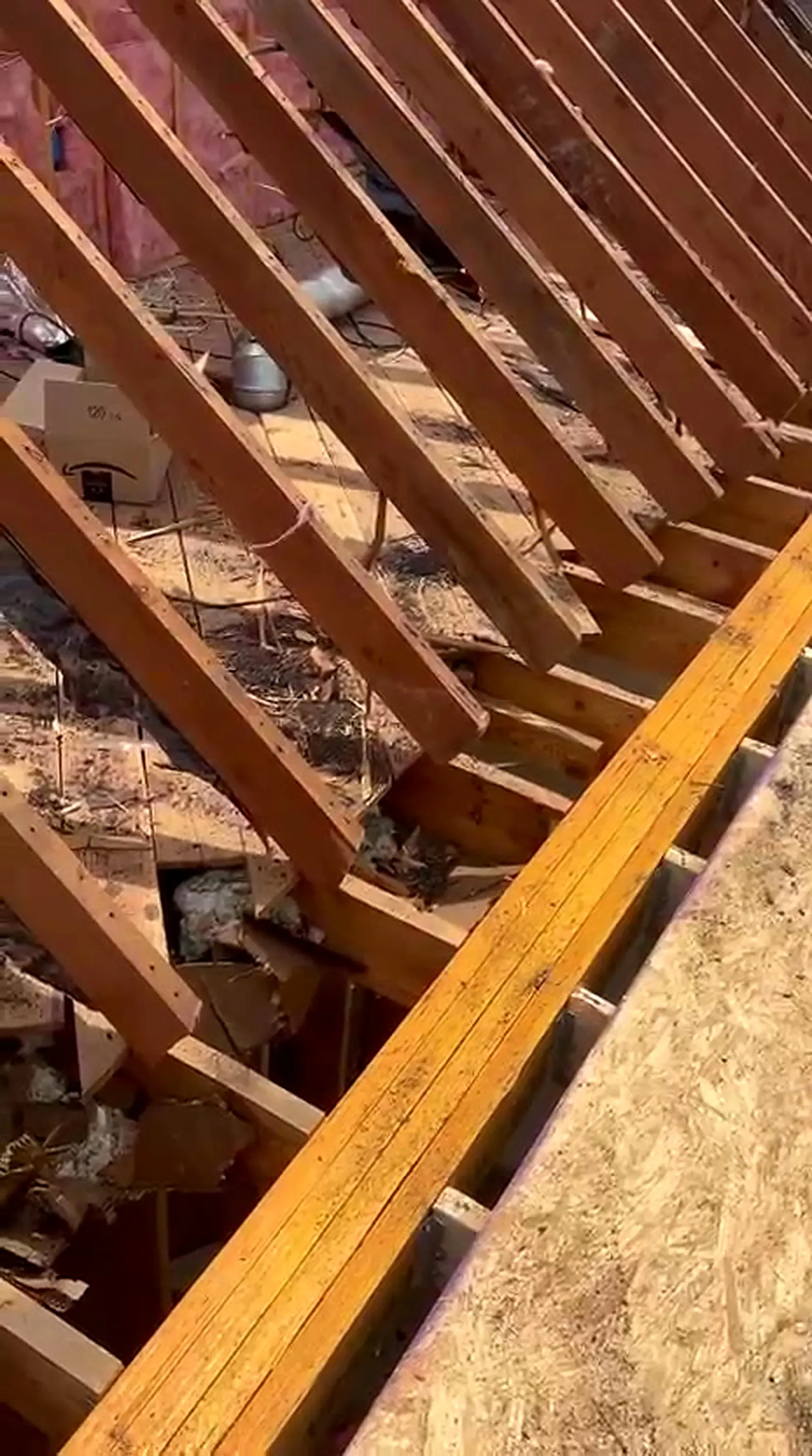 New roof rafters framed for an addition, Dearborn MI
